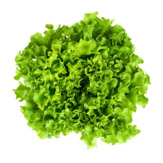Bio Batavia Salat